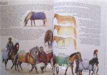 The Allen Book of Ponies