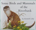 Some Birds and Mammals of the Riverbank