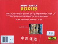 Body Basics: Bodies
