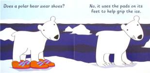 Does a Polar Bear Wear Shoes?