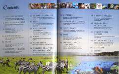 Animals (Primary Explorers)