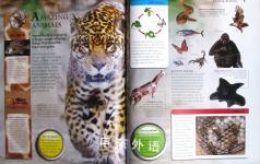 Animals (Primary Explorers)