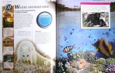 Animals (Primary Explorers)