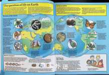 The Usborne Young Scientist Evolution