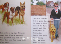 Now You Can Read About  Dogs