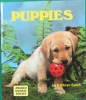 Award Animal Series: Puppies