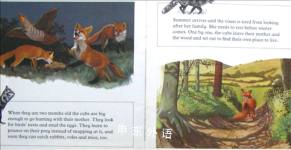 The Fox (Animal Life Stories)