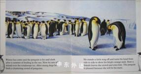 The Penguin (Animal Life Stories)