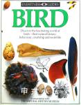Bird (Eyewitness Guides) David Burnie