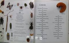 Insect (Eyewitness Guides)