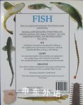 DK Eyewitness Guides: Fish