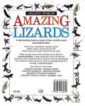 Amazing Lizards