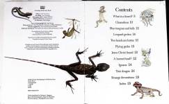 Amazing Lizards