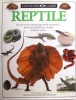 Reptile (Eyewitness Guides)