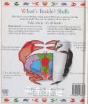 What's Inside Shells?