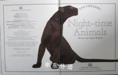 Night-time Animals Eye Openers