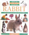 Rabbit How to Look After Your Pet Mark Evans