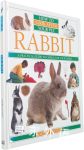 Rabbit How to Look After Your Pet