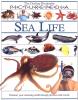 SEA LIFE