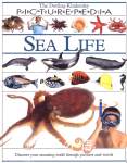 SEA LIFE Andrew Solway