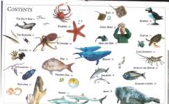 SEA LIFE