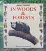 In Woods & Forests Animal Trackers