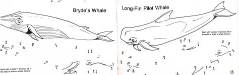 Dottodot WHALES