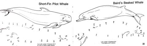 Dottodot WHALES