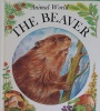 Beaver (Animal World)