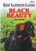 Black Beauty Great Illustrated Classics Playmore