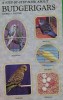 A Step By Step Book About Budgerigars