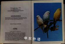 Budgerigars