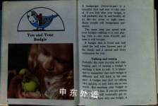 Budgerigars