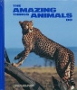 The Amazing Things Animals Do