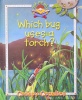 Which bug uses a torch?