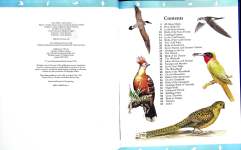 Bird World