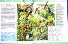 Bird World