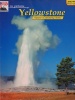 In Pictures Yellowstone: The Continuing Story