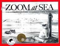 Zoom at Sea Tim Wynne-Jones