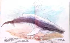 Humphrey The Lost Whale