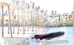 Humphrey The Lost Whale