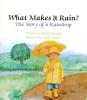What Makes It Rain?: The Story of a Raindrop Learn About Nature