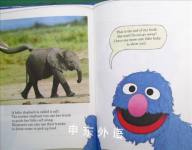 Grover's book of cute little baby animals 