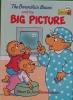 The Berenstain bears and the big picture