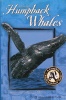 Hawaiis Humpback Whales