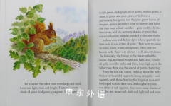 Why the Squirrel Hides its Nuts
