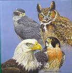 Eagles, Hawks, Falcons and Owls of America: A Coloring Album Hamterstrom, Frances