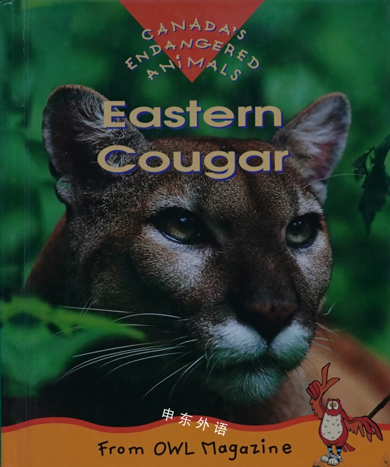 Eastern Cougar Canada S Endangered Animals 动物 儿童图书 进口图书 进口书 原版书 绘本书 英文 原版图书 儿童纸板书 外语图书 进口儿童书 原版儿童书