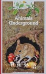 Animals Underground  Charlotte Ruffault