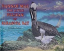 Hannah Mae the little pelican of Sarasota Bay